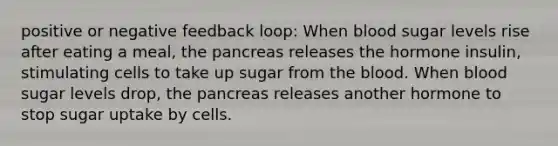 positive or negative feedback loop: When blood sugar levels rise after eating a meal, the pancreas releases the hormone insulin, stimulating cells to take up sugar from the blood. When blood sugar levels drop, the pancreas releases another hormone to stop sugar uptake by cells.