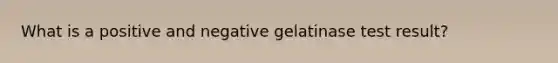 What is a positive and negative gelatinase test result?