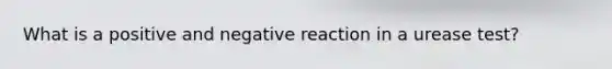 What is a positive and negative reaction in a urease test?