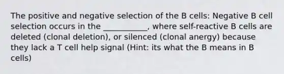 The positive and negative selection of the B cells: Negative B cell selection occurs in the ___________, where self-reactive B cells are deleted (clonal deletion), or silenced (clonal anergy) because they lack a T cell help signal (Hint: its what the B means in B cells)