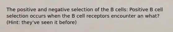 The positive and negative selection of the B cells: Positive B cell selection occurs when the B cell receptors encounter an what? (Hint: they've seen it before)