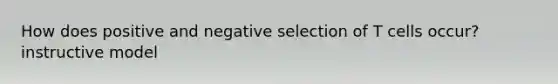 How does positive and negative selection of T cells occur? instructive model