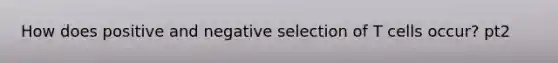 How does positive and negative selection of T cells occur? pt2