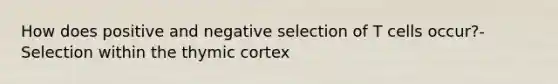 How does positive and negative selection of T cells occur?- Selection within the thymic cortex