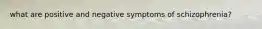 what are positive and negative symptoms of schizophrenia?