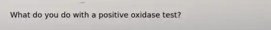 What do you do with a positive oxidase test?