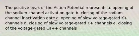 The positive peak of the Action Potential represents a. opening of the sodium channel activation gate b. closing of the sodium channel inactivation gate c. opening of slow voltage-gated K+ channels d. closing of slow voltage-gated K+ channels e. closing of the voltage-gated Ca++ channels