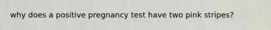 why does a positive pregnancy test have two pink stripes?