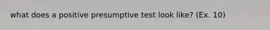 what does a positive presumptive test look like? (Ex. 10)