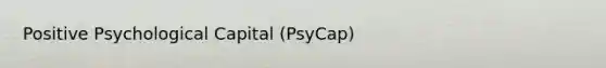 Positive Psychological Capital (PsyCap)