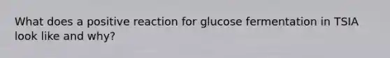 What does a positive reaction for glucose fermentation in TSIA look like and why?