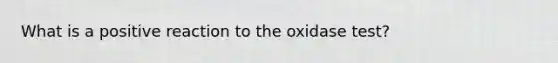 What is a positive reaction to the oxidase test?