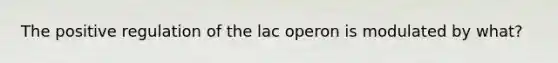 The positive regulation of the lac operon is modulated by what?