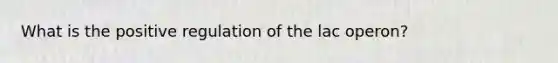 What is the positive regulation of the lac operon?