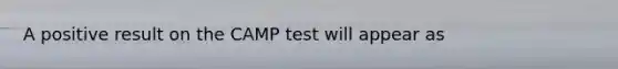 A positive result on the CAMP test will appear as