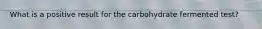 What is a positive result for the carbohydrate fermented test?