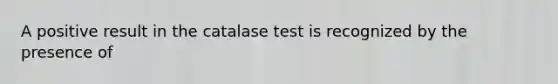 A positive result in the catalase test is recognized by the presence of