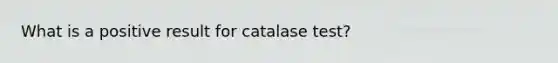 What is a positive result for catalase test?