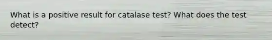 What is a positive result for catalase test? What does the test detect?