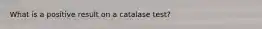 What is a positive result on a catalase test?