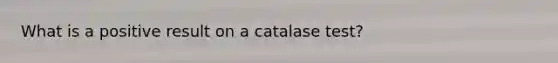 What is a positive result on a catalase test?