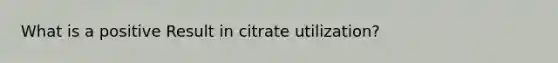 What is a positive Result in citrate utilization?