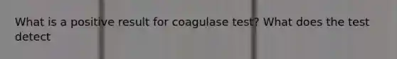 What is a positive result for coagulase test? What does the test detect