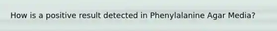 How is a positive result detected in Phenylalanine Agar Media?
