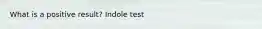 What is a positive result? Indole test