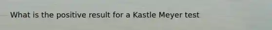 What is the positive result for a Kastle Meyer test