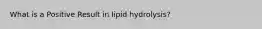 What is a Positive Result in lipid hydrolysis?