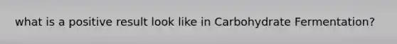 what is a positive result look like in Carbohydrate Fermentation?