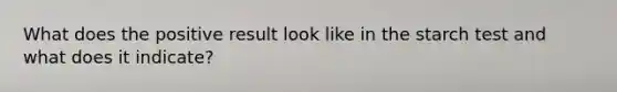 What does the positive result look like in the starch test and what does it indicate?