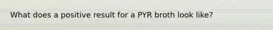 What does a positive result for a PYR broth look like?