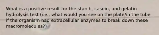 What is a positive result for the starch, casein, and gelatin hydrolysis test (i.e., what would you see on the plate/in the tube if the organism had extracellular enzymes to break down these macromolecules?)