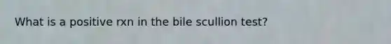 What is a positive rxn in the bile scullion test?