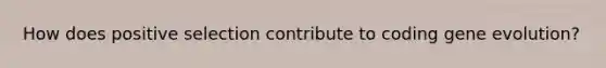 How does positive selection contribute to coding gene evolution?