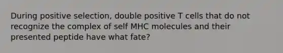 During positive selection, double positive T cells that do not recognize the complex of self MHC molecules and their presented peptide have what fate?