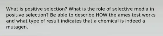 What is positive selection? What is the role of selective media in positive selection? Be able to describe HOW the ames test works and what type of result indicates that a chemical is indeed a mutagen.