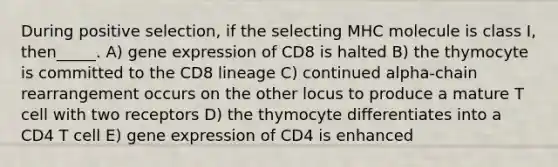 During positive selection, if the selecting MHC molecule is class I, then_____. A) gene expression of CD8 is halted B) the thymocyte is committed to the CD8 lineage C) continued alpha-chain rearrangement occurs on the other locus to produce a mature T cell with two receptors D) the thymocyte differentiates into a CD4 T cell E) gene expression of CD4 is enhanced