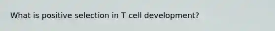 What is positive selection in T cell development?