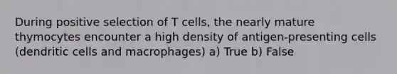 During positive selection of T cells, the nearly mature thymocytes encounter a high density of antigen-presenting cells (dendritic cells and macrophages) a) True b) False