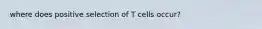 where does positive selection of T cells occur?