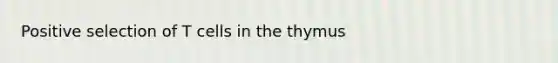 Positive selection of T cells in the thymus