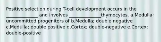 Positive selection during T-cell development occurs in the ______________ and involves ______________thymocytes. a.Medulla; uncommitted progenitors of b.Medulla; double negative c.Medulla; double positive d.Cortex; double-negative e.Cortex; double-positive