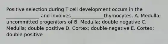 Positive selection during T-cell development occurs in the ______________ and involves______________thymocytes. A. Medulla; uncommitted progenitors of B. Medulla; double negative C. Medulla; double positive D. Cortex; double-negative E. Cortex; double-positive