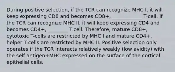 During positive selection, if the TCR can recognize MHC I, it will keep expressing CD8 and becomes CD8+, ____________ T-cell. If the TCR can recognize MHC II, it will keep expressing CD4 and becomes CD4+, ________ T-cell. Therefore, mature CD8+, cytotoxic T-cells are restricted by MHC I and mature CD4+, helper T-cells are restricted by MHC II. Positive selection only operates if the TCR interacts relatively weakly (low avidity) with the self antigen+MHC expressed on the surface of the cortical epithelial cells.