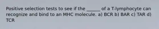 Positive selection tests to see if the ______ of a T-lymphocyte can recognize and bind to an MHC molecule. a) BCR b) BAR c) TAR d) TCR