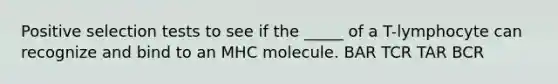 Positive selection tests to see if the _____ of a T-lymphocyte can recognize and bind to an MHC molecule. BAR TCR TAR BCR