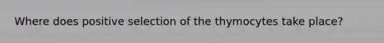 Where does positive selection of the thymocytes take place?